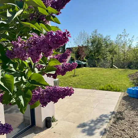 Maison La Belle Vigne Avec Jardin - Proche Obernai Bernardswiller